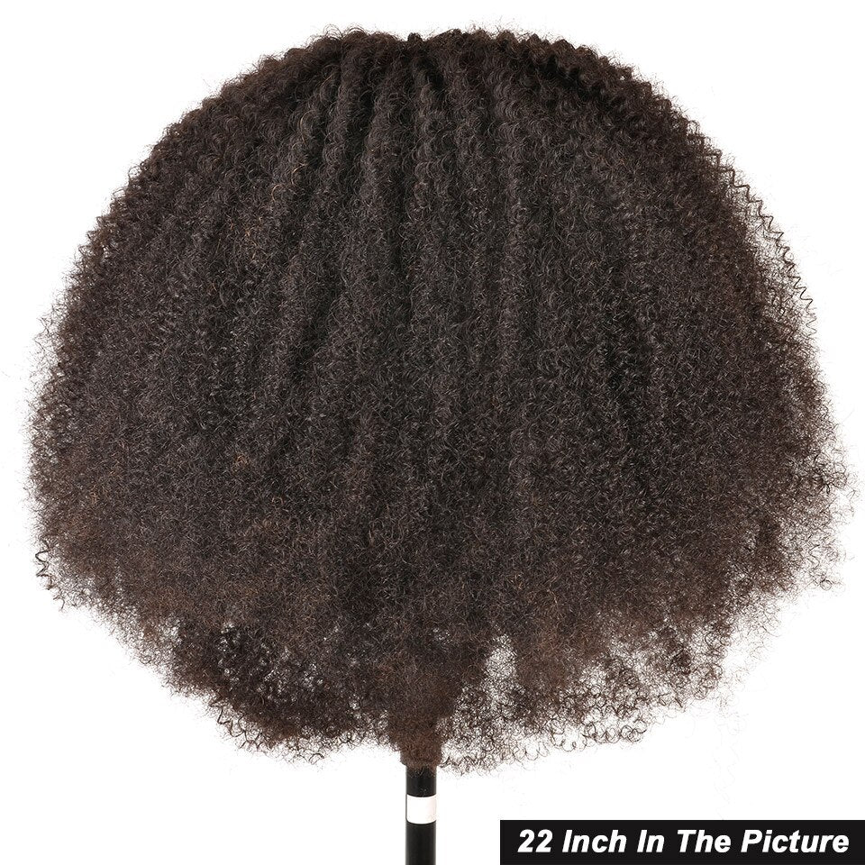 4A 4B Kinky Curly Wig